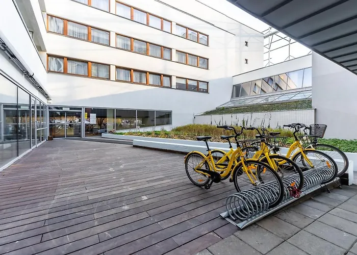 Comfort Royal Tulip *